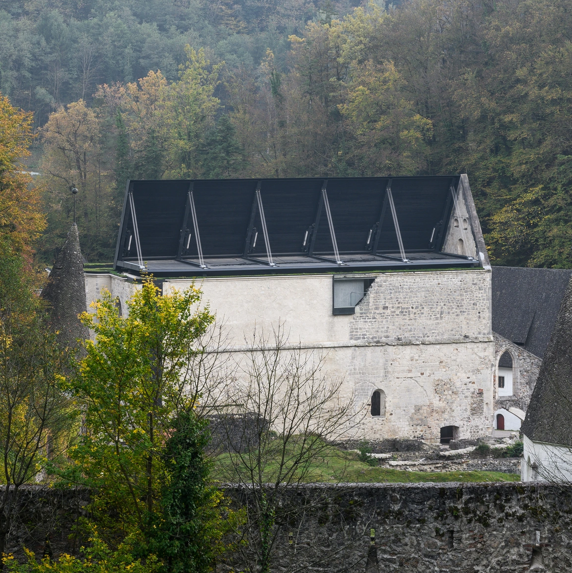 Sv. Janeza Krstnika v Žički kartuziji (2022)