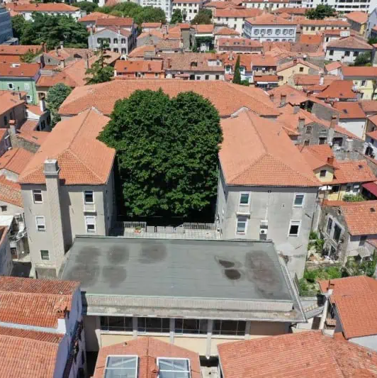 Plemiški Kolegij (2024)